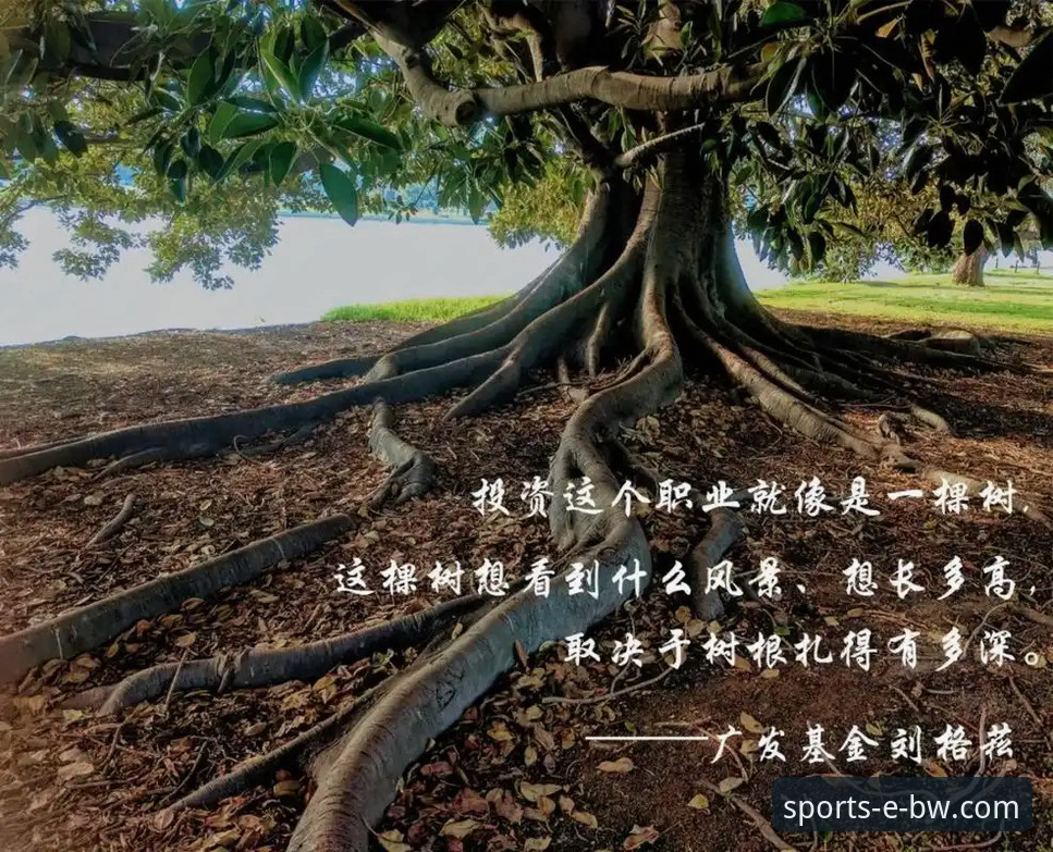 三年老用户深度复盘：宝威体育平台到底怎么样？多维度使用心得与实战经验